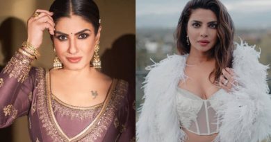 From Priyanka Chopra to Raveena Tandon B-town Celebs Have Shared Their Opinion and Concern about Groupism