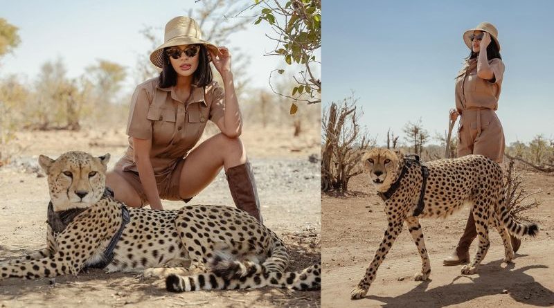 Miss Universe Strikes a Pose with a Cheetah