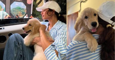 Tripti Dimri's Heartwarming Bond with her New Golden Retriever Puppy Melts Fans' Hearts