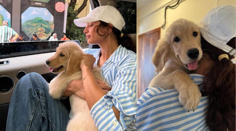 Tripti Dimri's Heartwarming Bond with her New Golden Retriever Puppy Melts Fans' Hearts