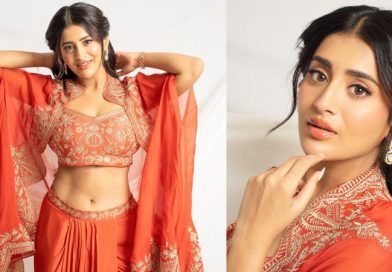 From Air Hostess to Actress The Inspiring Journey of Rashi Singh in Telugu Cinema