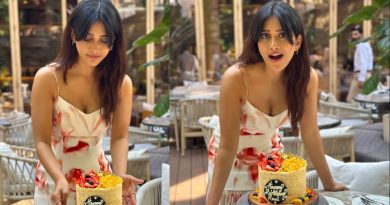 Nabha Natesh Turns 30 Celebrating the iSmart Beauty's Journey in Indian Cinema