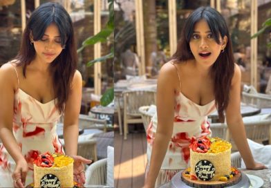 Nabha Natesh Turns 30 Celebrating the iSmart Beauty's Journey in Indian Cinema