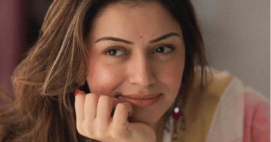 Hansika Motwani and Sohael Khaturiya’s Divorce The Full Story Behind Bollywood’s Shortest Marriage